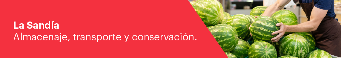 Conservación de la patata