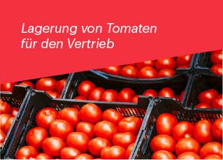 Conservación del tomate